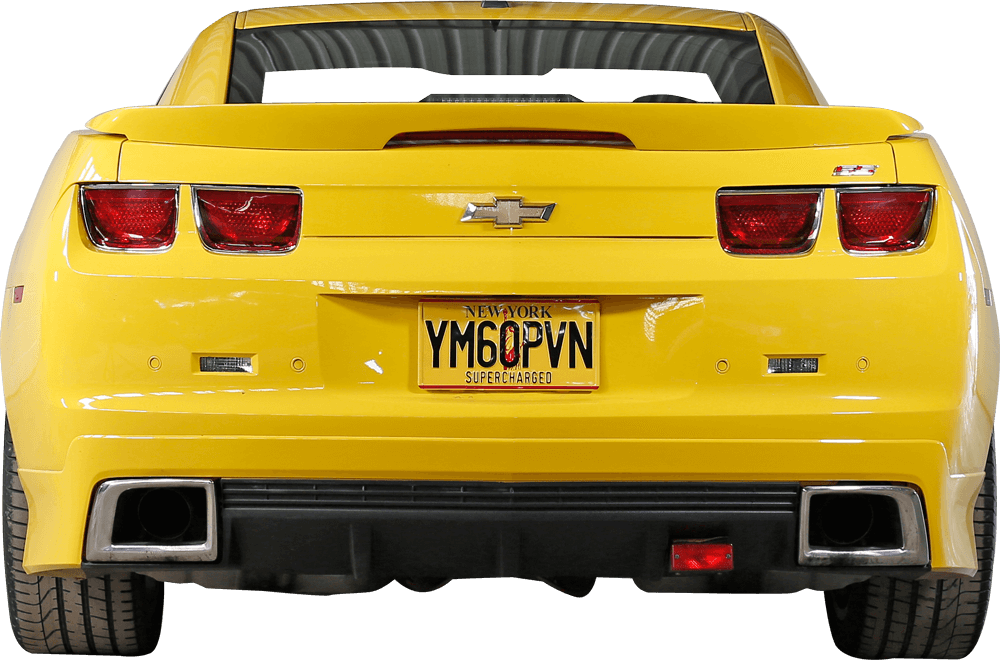 Bumblebee Back