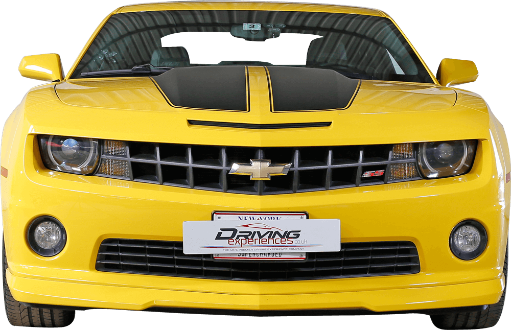 Bumblebee Front