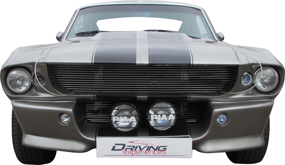 Eleanor Front