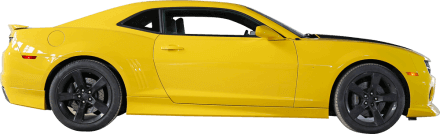 Bumblebee